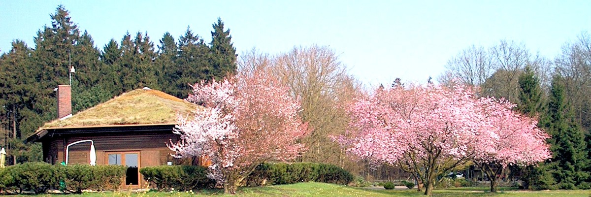 Tierbestattung auf dem Tierfriedhof mit Rosengarten und Tierkrematorium in Urnen für Katzen.