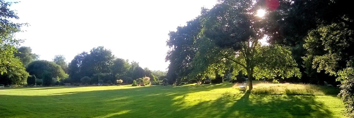 Ist Ihr Haustier gestorben - Haustierbestattung auf dem Hundefriedhof mit Rosengarten in Hundeurnen.