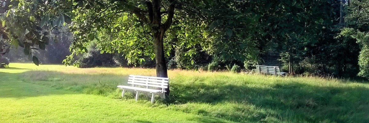Ist Ihr Haustier gestorben - Haustierbestattung auf dem Hundefriedhof mit Rosengarten in Hundeurnen.