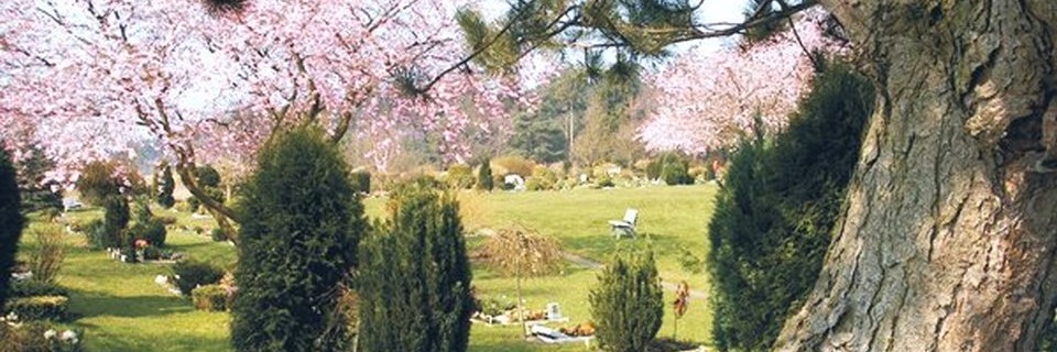 Haustierbestattung Urne für Hunde und Tierurnen, Grabstein