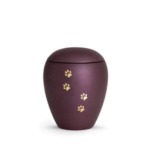 Tierurnenkeramikurne-edition-verona-berry-vier Pfoten gold gebürstet-1