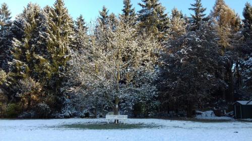 Tierfriedhof Hamburg Tierbestattung im Katzengrab oder Hundegrab