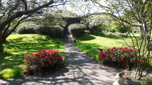 Nördlich von Hamburg rosengarten, tierfriedhof tierkrematorium tierbestattung
