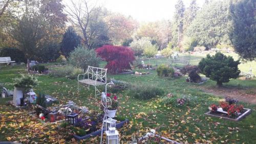 Nördlich von Hamburg rosengarten, tierfriedhof tierkrematorium tierbestattung
