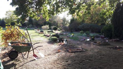 Nördlich von Hamburg rosengarten, tierfriedhof tierkrematorium tierbestattung