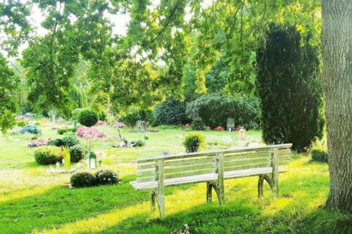 Bank auf dem Tierfriedhof