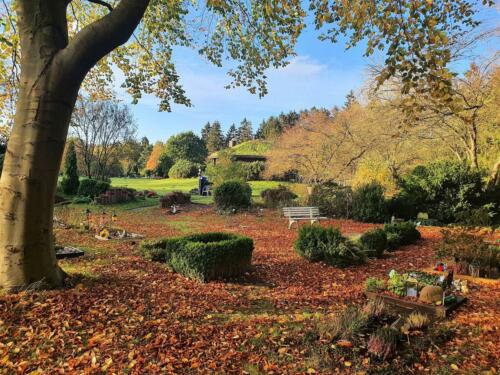 Buntes Laub im Herbst