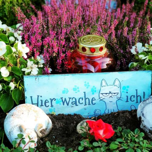 Grablicht auf Einzelgrab