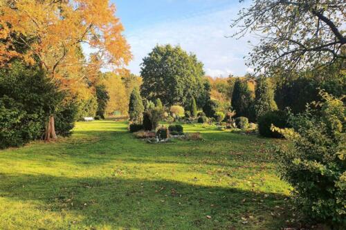 Herbst auf dem Tierfriedhof