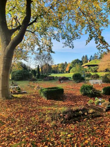 Herbststimmung auf dem Tierfriedhof