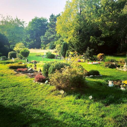 Morgendlicher Friedhof