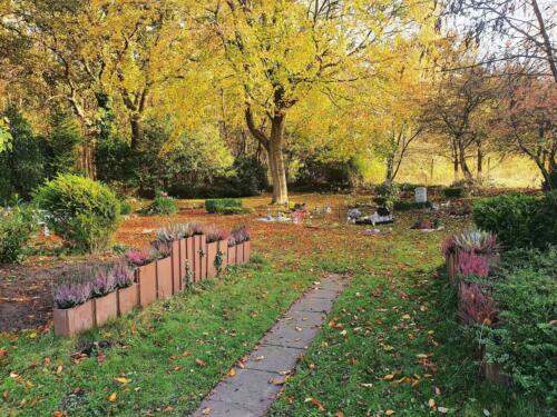 Weg auf dem Tierfriedhof